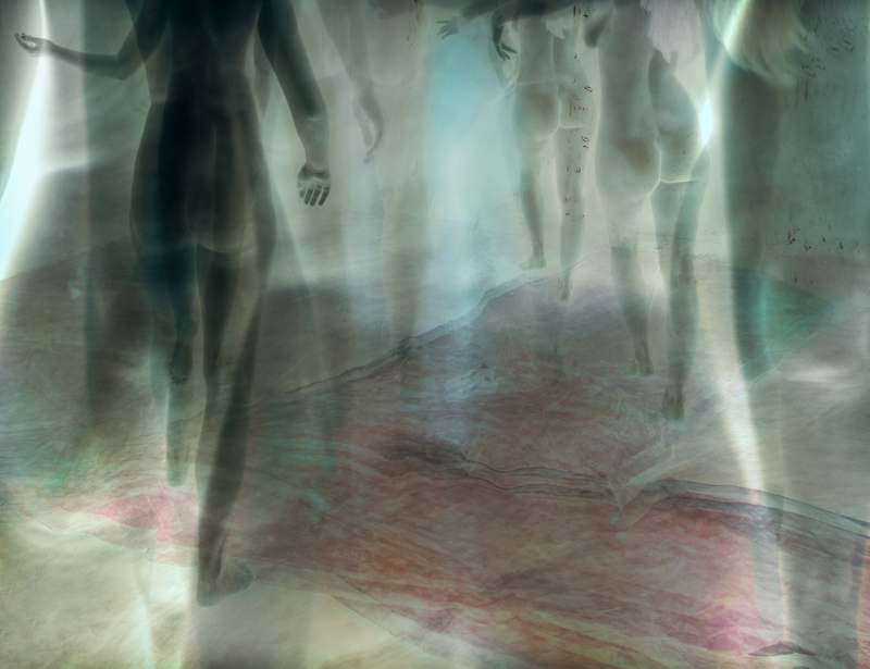 Renata Vogl untitled
